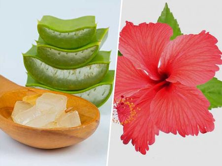 অ্যালোভেরা এবং জবা ফুলের ফেস প্যাক