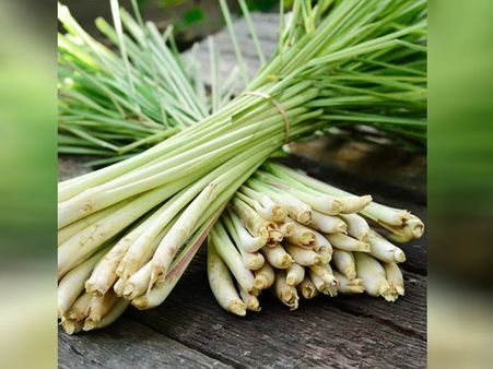 লেমনগ্রাস বডিওয়াশ