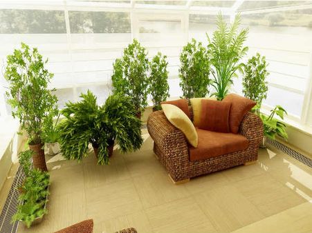 ১) গ্লক্সিনিয়া 