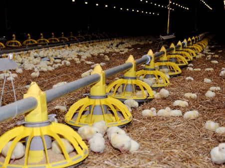 রিস্ক ফ্যাক্টর