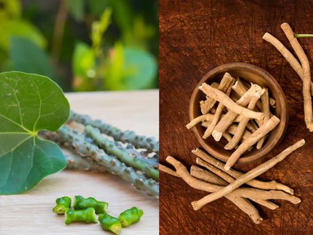 গিলয় পাউডার