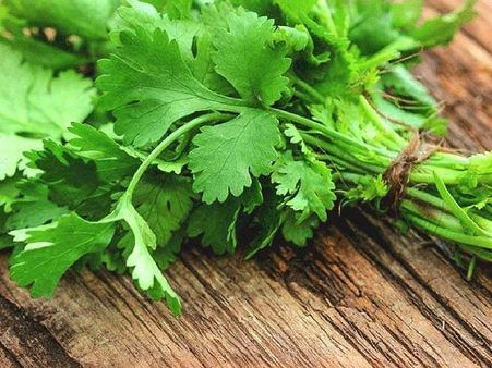 ধনে পাতার হেয়ার মাস্ক