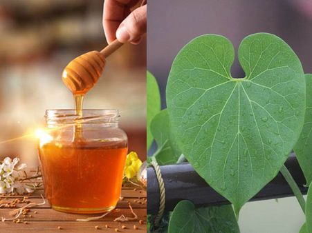 মধু এবং গিলয়