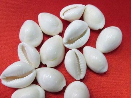 কড়ির টোটকা