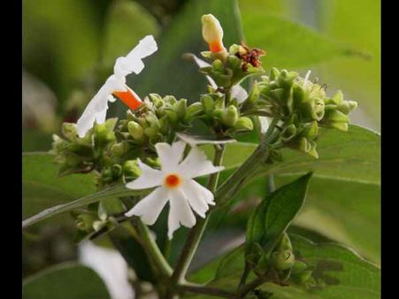 ৪) এই দিকে লাগাবেন না