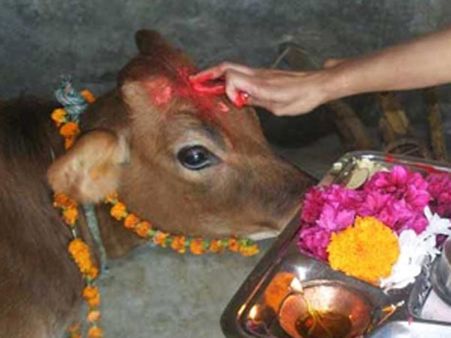 গোপাষ্টমী : ০১ নভেম্বর ২০২২