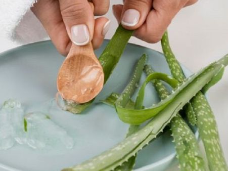 অ্যালোভেরা