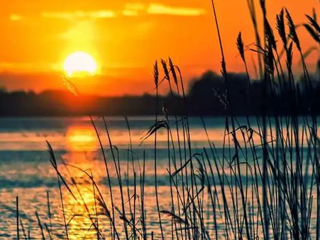 মকর সংক্রান্তির তাৎপর্য