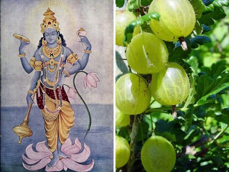 ৩ মার্চ ২০২৩: আমলকী একাদশী