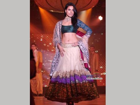 Royal Blue Fits The Princess Royal Blue Fits The Princess