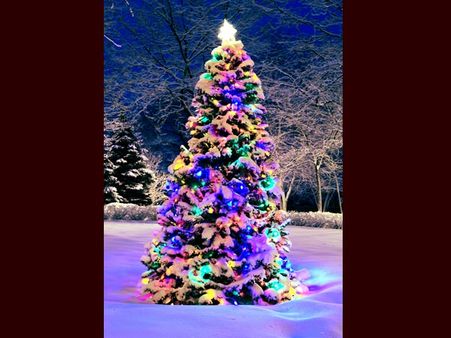 Snow Theme Christmas Tree