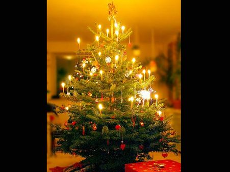 The Candle Lit Tree