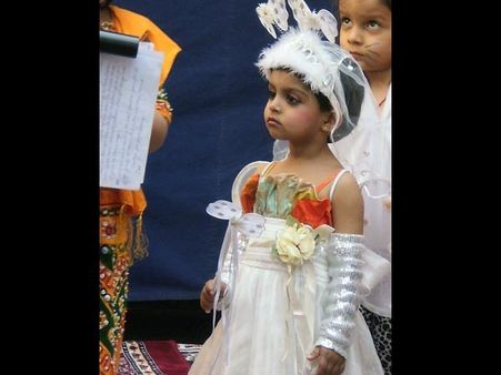 The Butterfly Princess