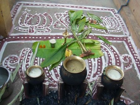 Cooking The Pongal