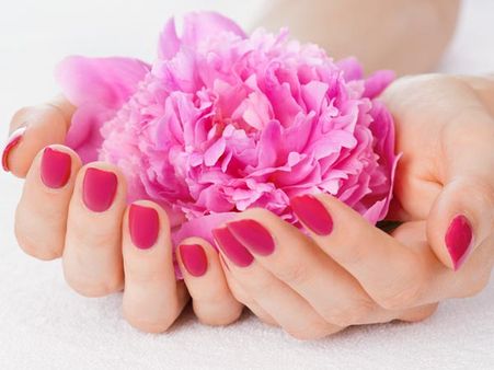 Increase Shelf-Life Of Flowers