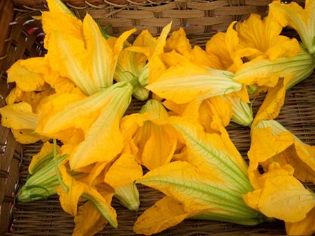 Squash Blossom