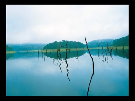 Thekkady