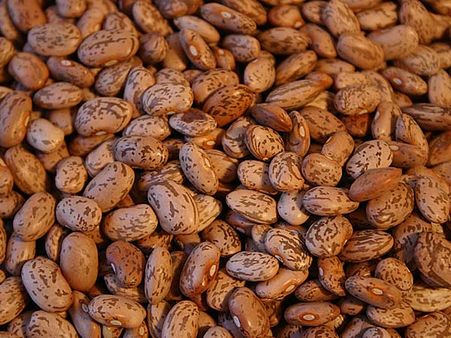 Pinto Beans 