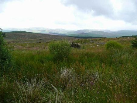 Dow Hill, West Bengal Dow Hill, West Bengal