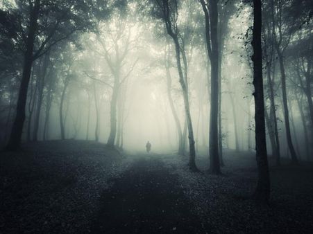 Delhi Cantt, Delhi Delhi Cantt, Delhi