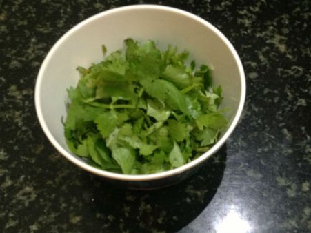 Coriander Leaves