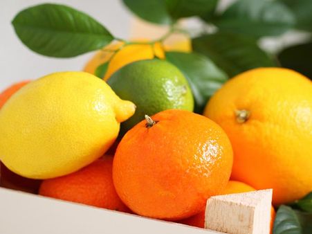 Citrus fruits