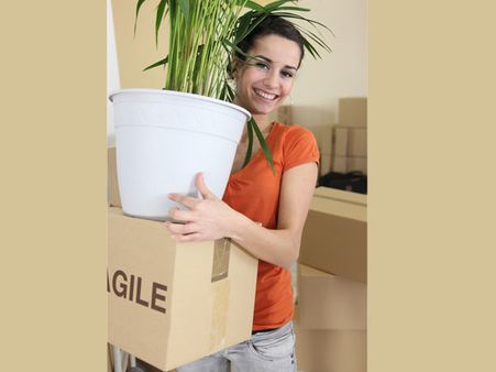 Move Furniture At Home