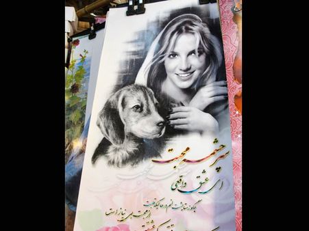 Britney Spears' Chihuahuas