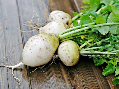 Radish