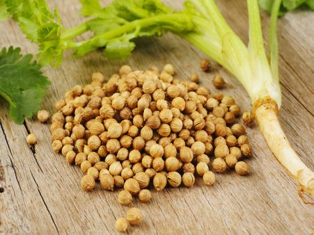 Coriander