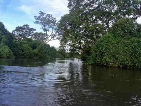 Pantanal Wetlands, Brazil Pantanal Wetlands, Brazil