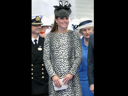 Dalmatian Prints Dalmatian Prints