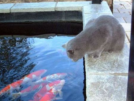 Waiting for the food