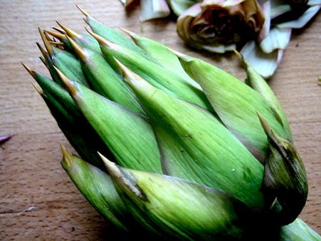 Artichokes