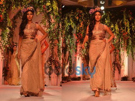 Sequined Sheer Saree