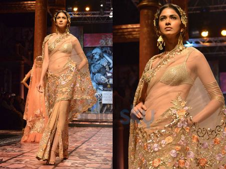 Beige Saree Beige Saree