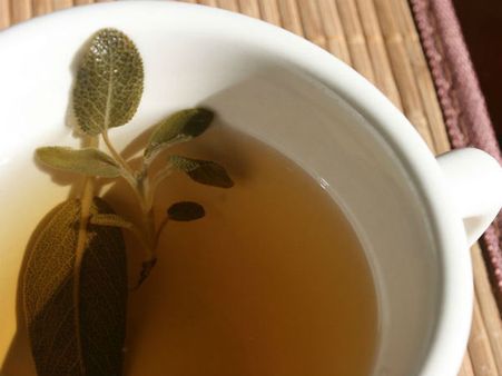Sage Tea Sage Tea