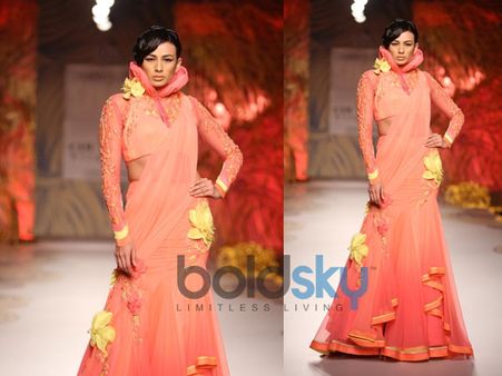 Peach Coloured Raised Collar Gown