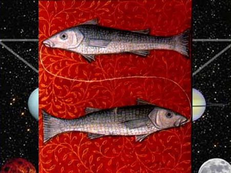 Pisces Pisces