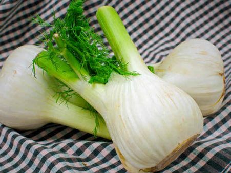 Fennel