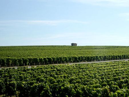 Bordeaux, France Bordeaux, France