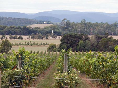 Yarra Valley, Australia Yarra Valley, Australia