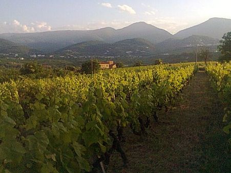 Naoussa, Greece Naoussa, Greece