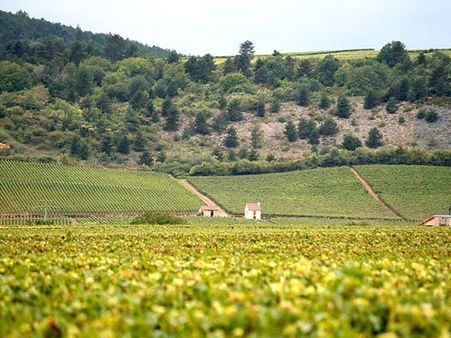 Burgundy, France Burgundy, France