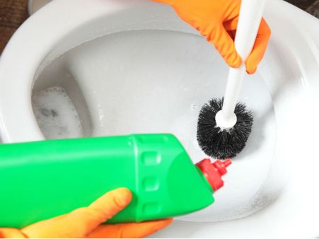 Toilet Cleaner