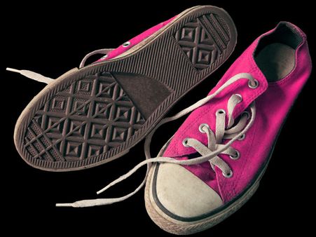 Seal Shoe Laces Seal Shoe Laces