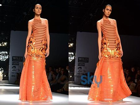 Coral and Golden Gown Coral and Golden Gown