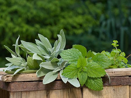 Fresh Parsley Leaves Trick