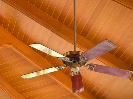Ceiling Fans