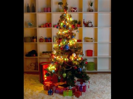 Christmas Tree Christmas Tree